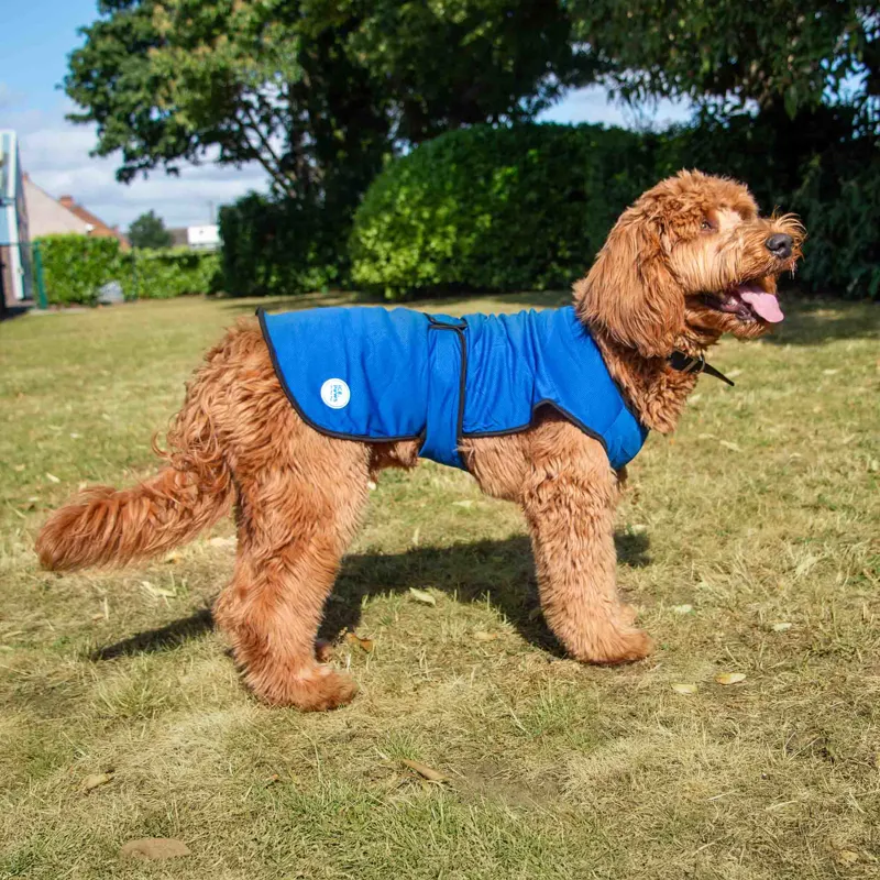 Ancol Dog Cooling Coat-1
