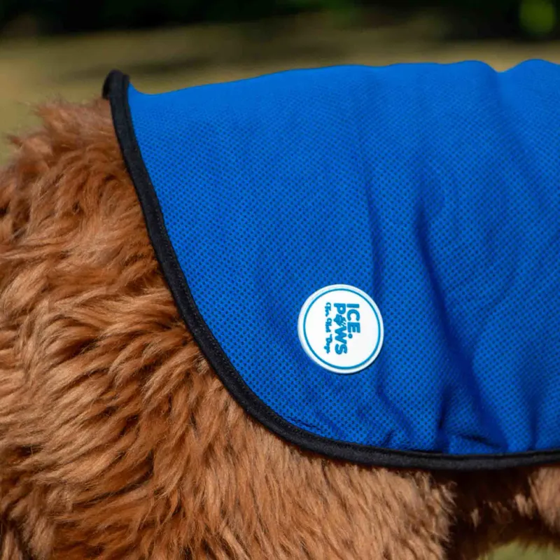 Ancol Dog Cooling Coat-2