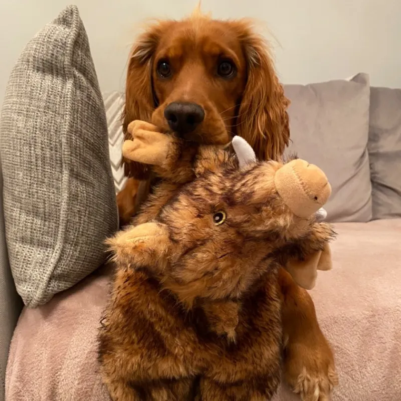 Ancol Heritage Huge Hog Dog Toy-1