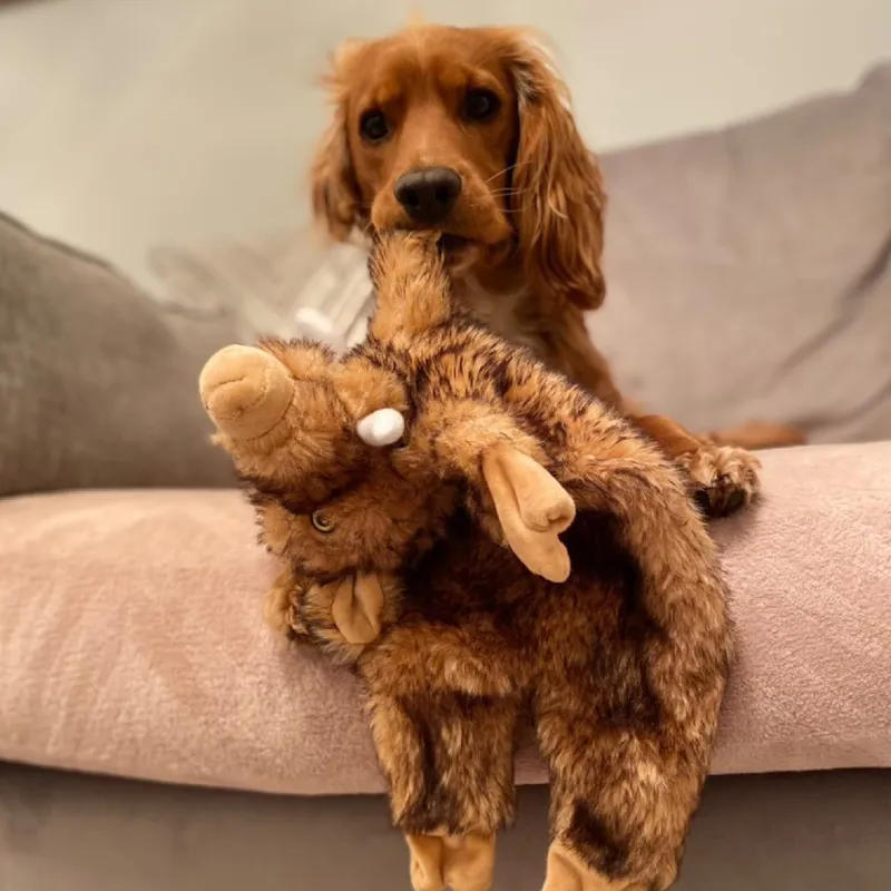 Ancol Heritage Huge Hog Dog Toy-2