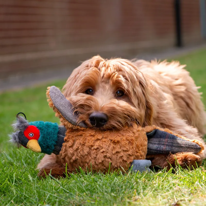 Ancol Heritage Phoebe Pheasant Dog Toy-2