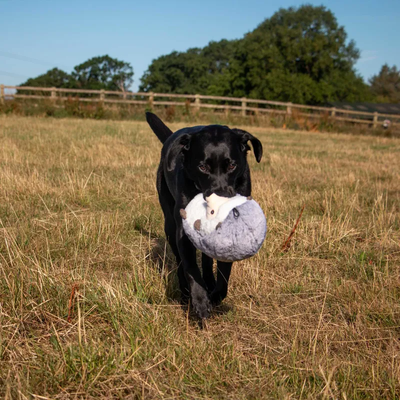 Ancol Heritage Harry Hedgehog Dog Toy-2
