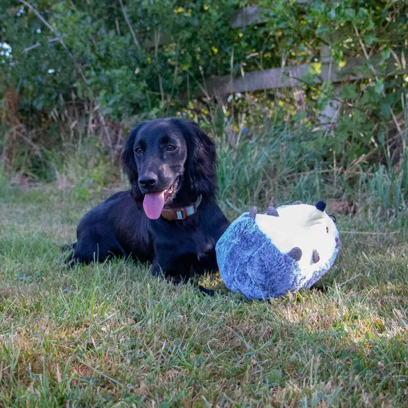 Ancol Heritage Harry Hedgehog Dog Toy-3