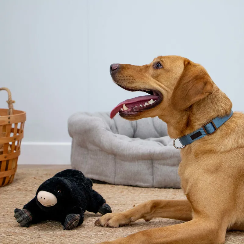 Ancol Heritage Montgomery Mole Dog Toy-1