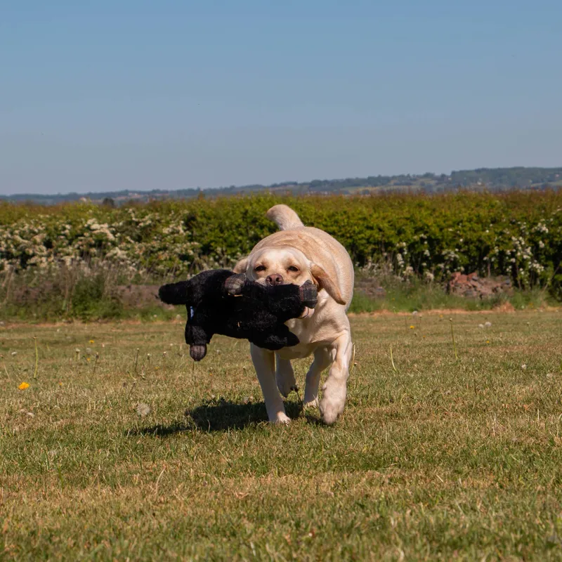 Ancol Heritage Montgomery Mole Dog Toy-3