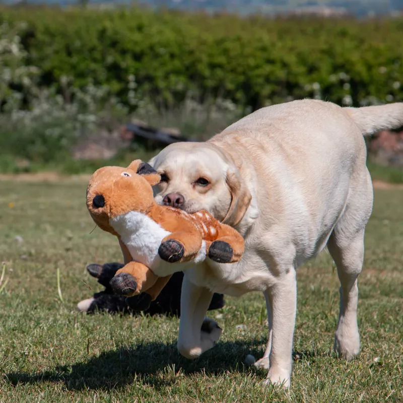 Ancol Heritage Delilah Deer Dog Toy-3