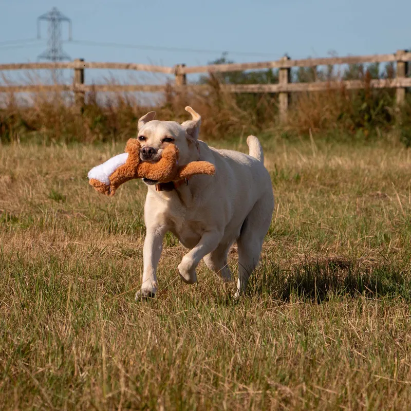 Ancol Heritage Walter Weasel Midi Dog Toy-3