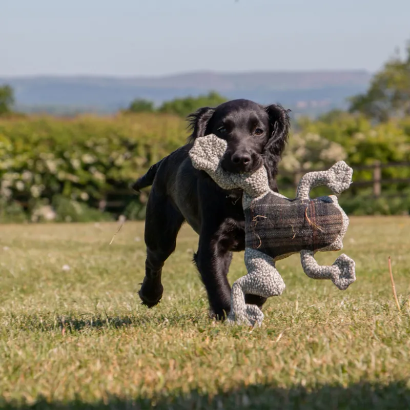 Ancol Heritage Toby Toad Midi Dog Toy-2