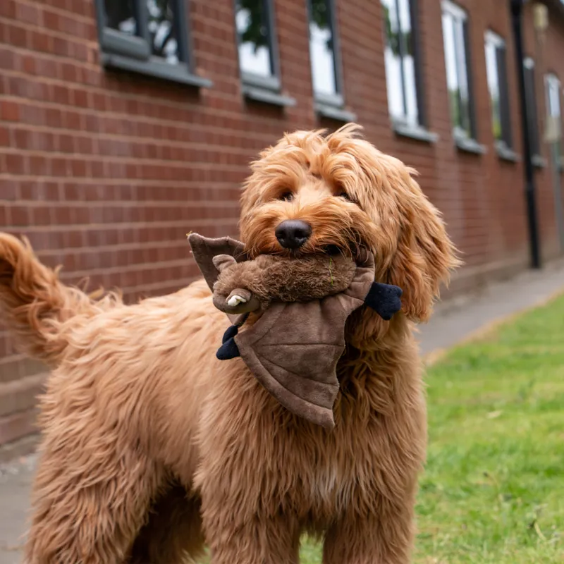 Ancol Heritage Barnaby Bat Midi Dog Toy-3