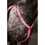 Equi-Flector Breastplate Pink