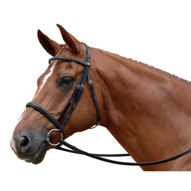 Albion KB Competition Snaffle Cavesson Bridle Plain Browband Black