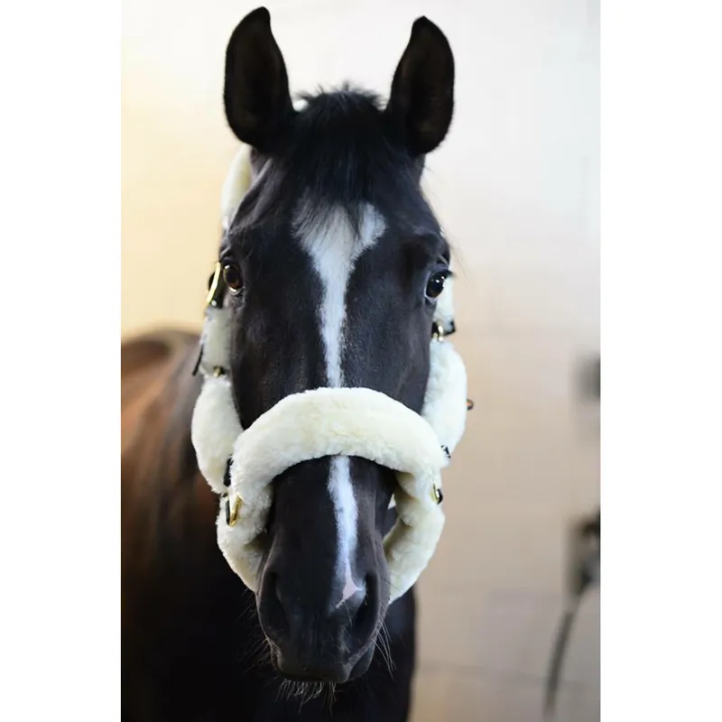 Kentucky Sheepskin Headcollar Natural-2