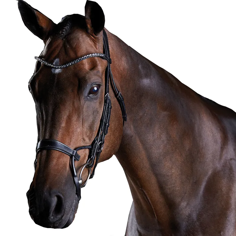 Collegiate Comfitec Crystal Bridle Black