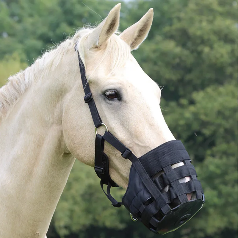 Shires Comfort Grazing Muzzle