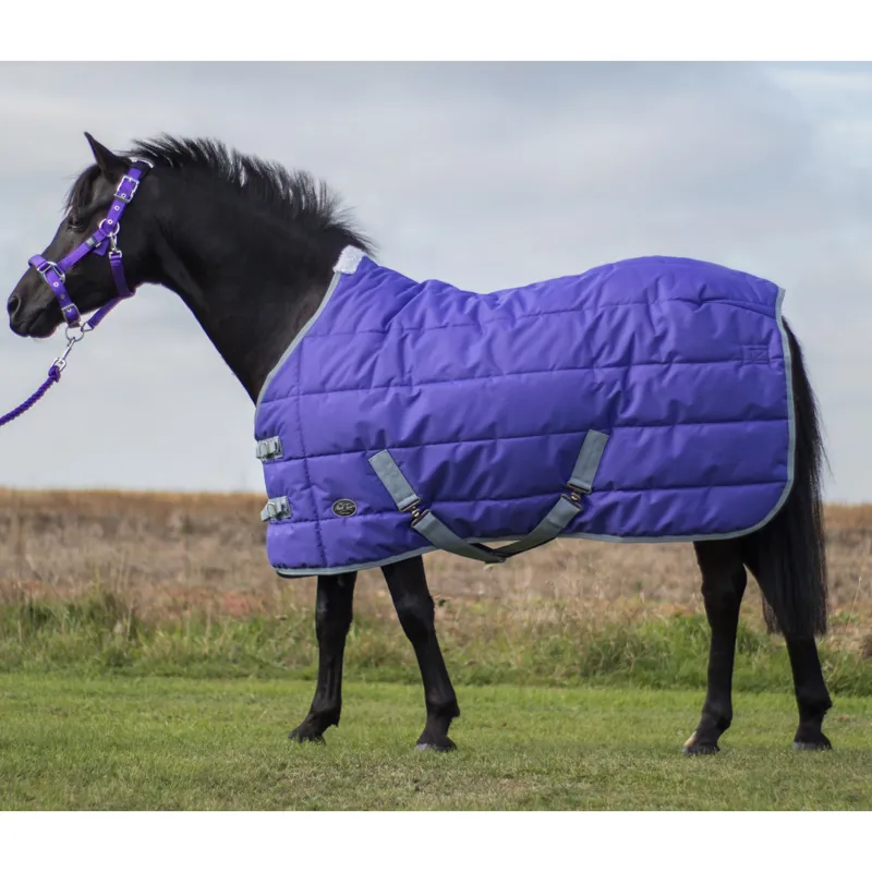 Mark Todd Pony Medium Weight Stable Rug Purple/Grey