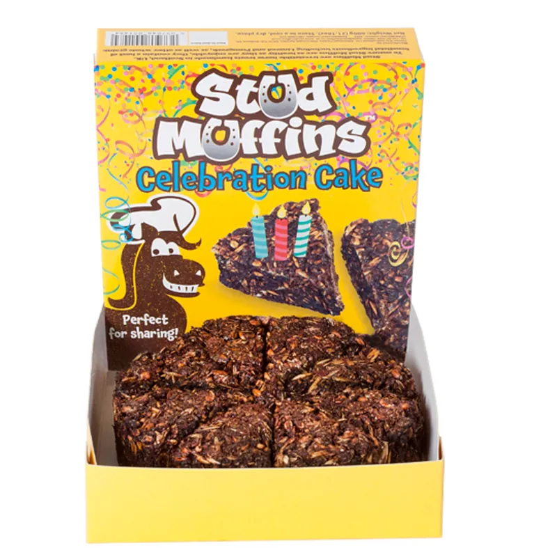 Stud Muffin Celebration Cake