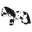 Crafty Pony Piebald