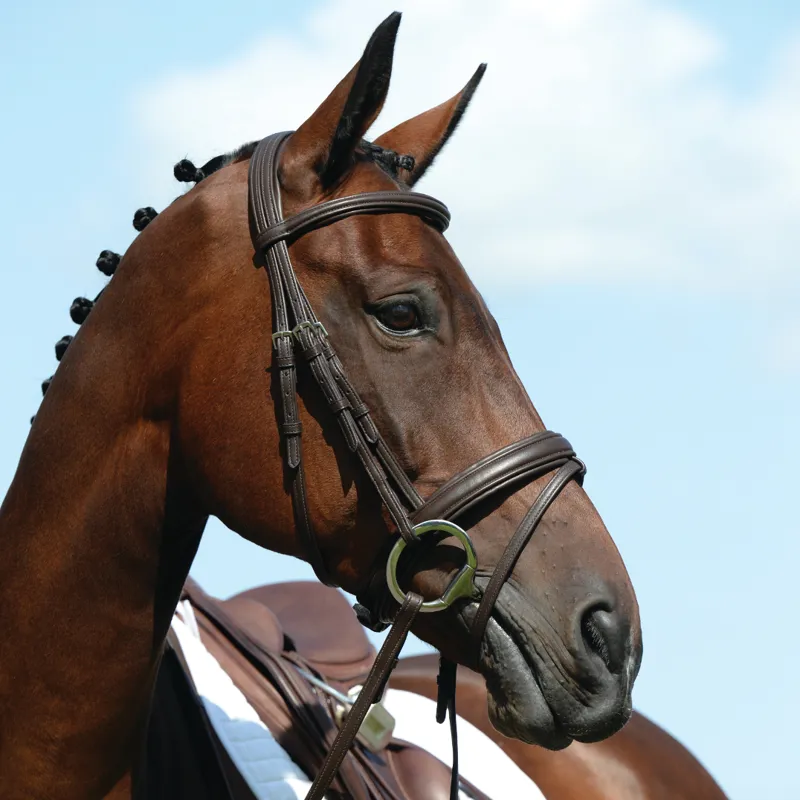 Collegiate Syntovia+ Padded Raised Flash Bridle Brown