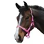 Saxon Economy Headcollar Pink