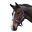 Saxon Economy Headcollar Royal
