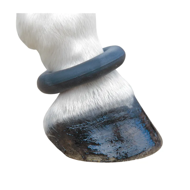 Fetlock deals rings horses