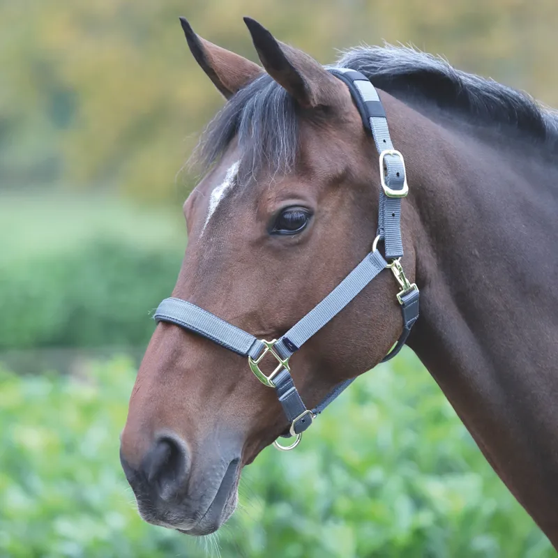 Shires Topaz Nylon Padded Headcollar Grey