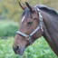 Shires Topaz Nylon Padded Headcollar Grey