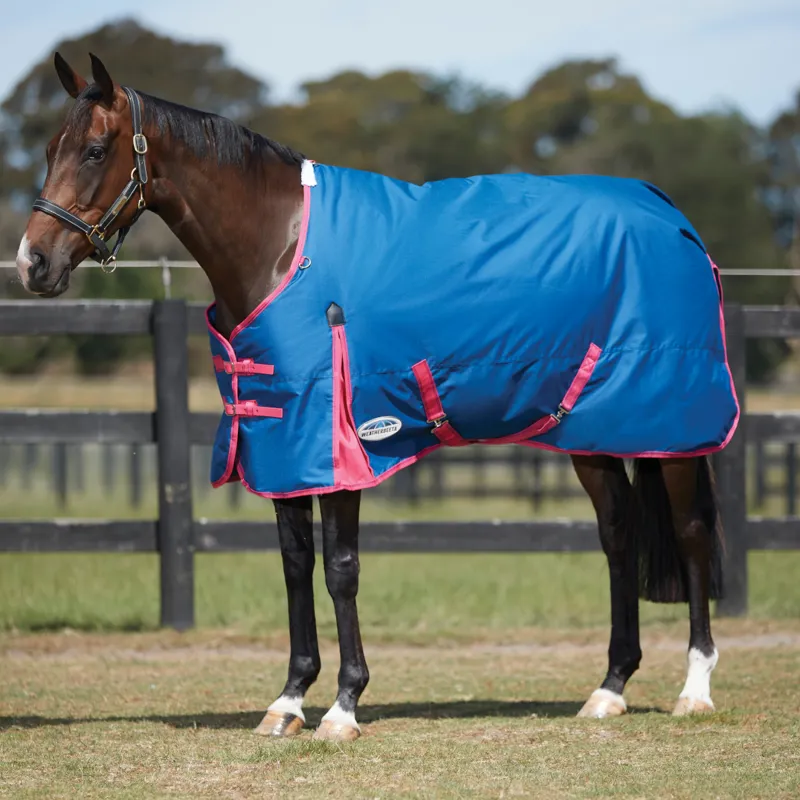 Weatherbeeta ComFiTec Classic Standard Medium/Lite Turnout Rug Blueberry/Pink