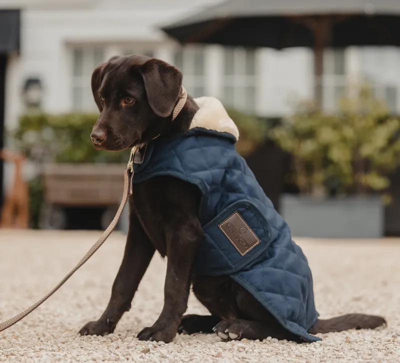 Kentucky Dog Coat Navy-1