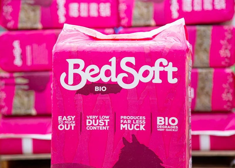 BedSoft Bio-2