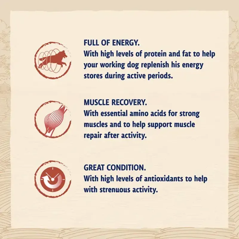 Beta Working Dog 14kg-2