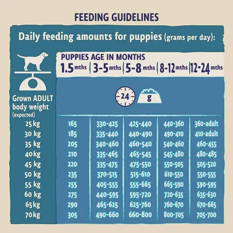 Beta Puppy Large Breed 14kg-1