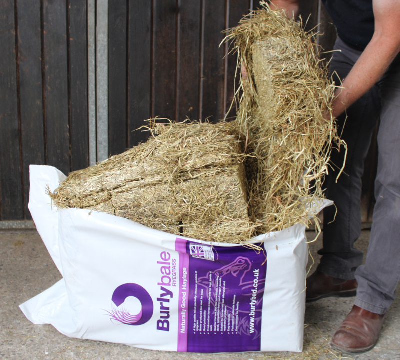 Burlybale Ryegrass Haylage-1
