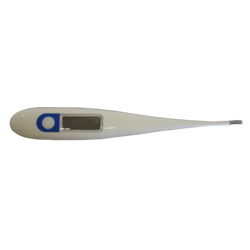 Digital Thermometer
