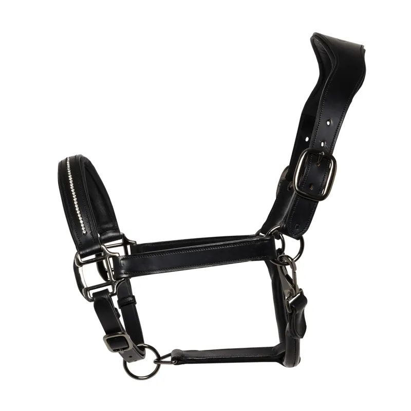 Cameo Leather Competition Headcollar Black