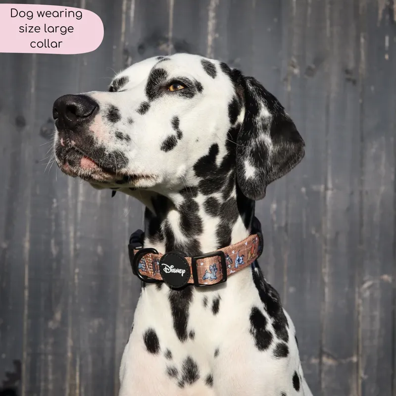 Disney Dogs Collar-2