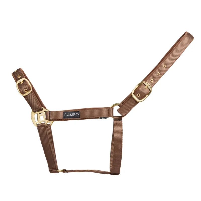 Cameo Suede Padded Headcollar Mocha