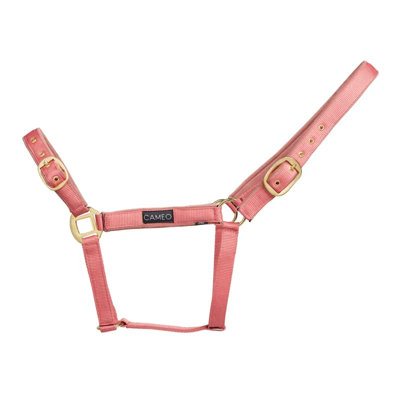 Cameo Suede Padded Headcollar Dusky Pink