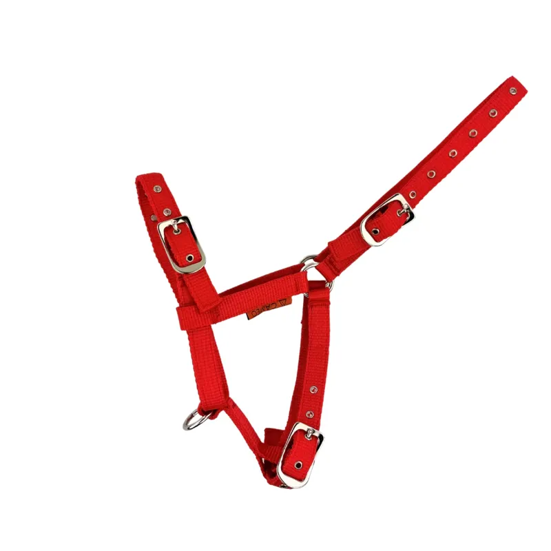 Cameo Foal Headcollar Red