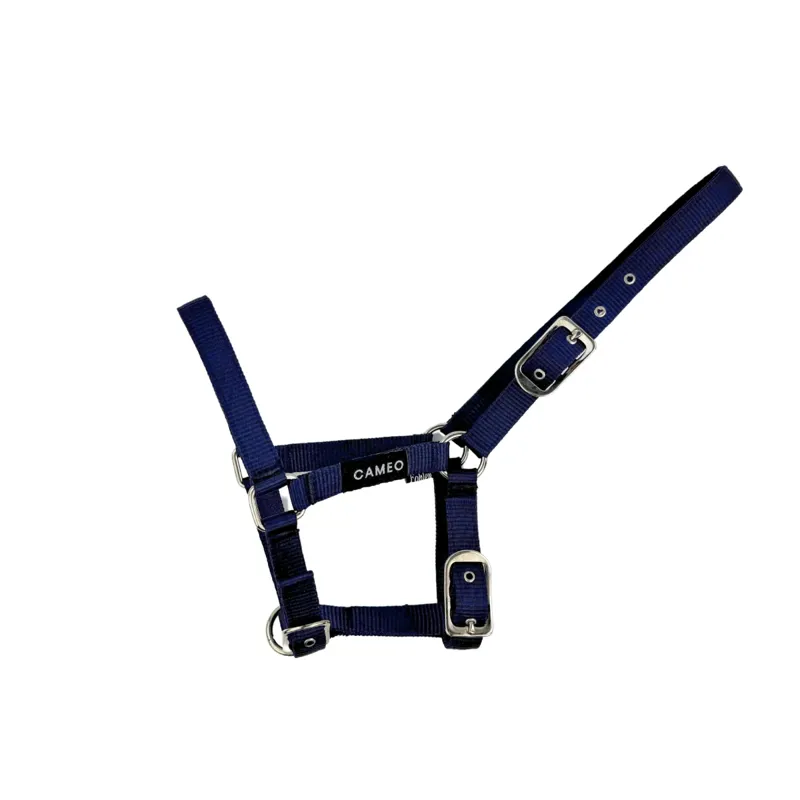 Cameo Foal Headcollar Navy