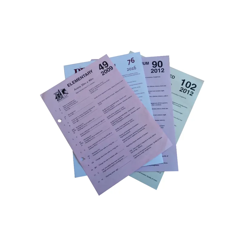 British Horse Society Riding Test Number 1 1991