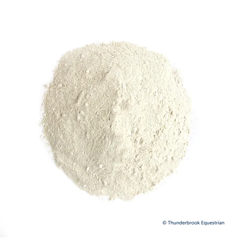 Thunderbrook Daily Essentials 3kg-1