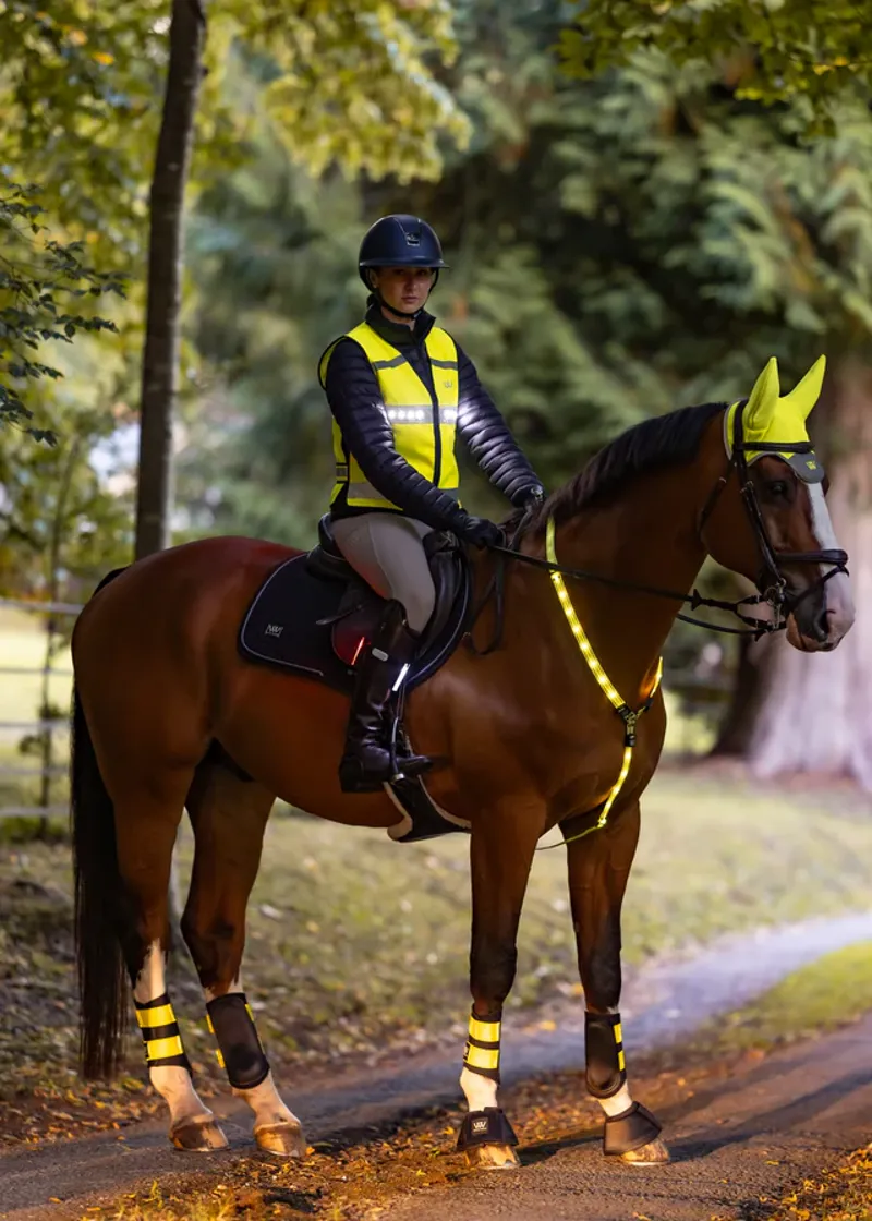 Woof Wear LED Neck Band Hi Vis Yellow-1