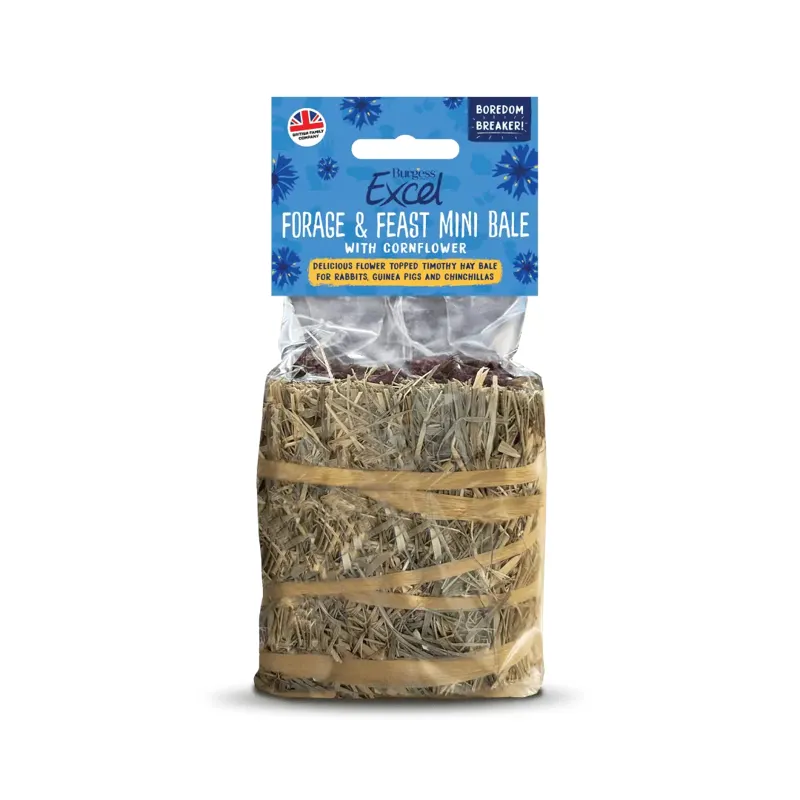 Burgess Excel Forage and Feast Mini Hay Bale Cornflower 100g
