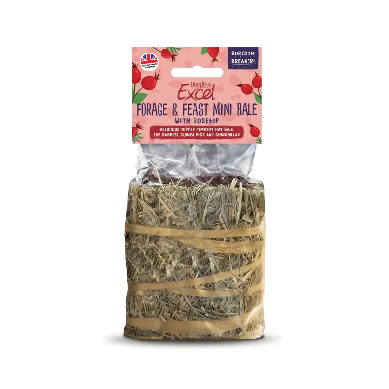 Burgess Excel Forage and Feast Mini Hay Bale Rosehip 100g