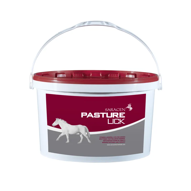 Saracen Pasture Lick 10kg