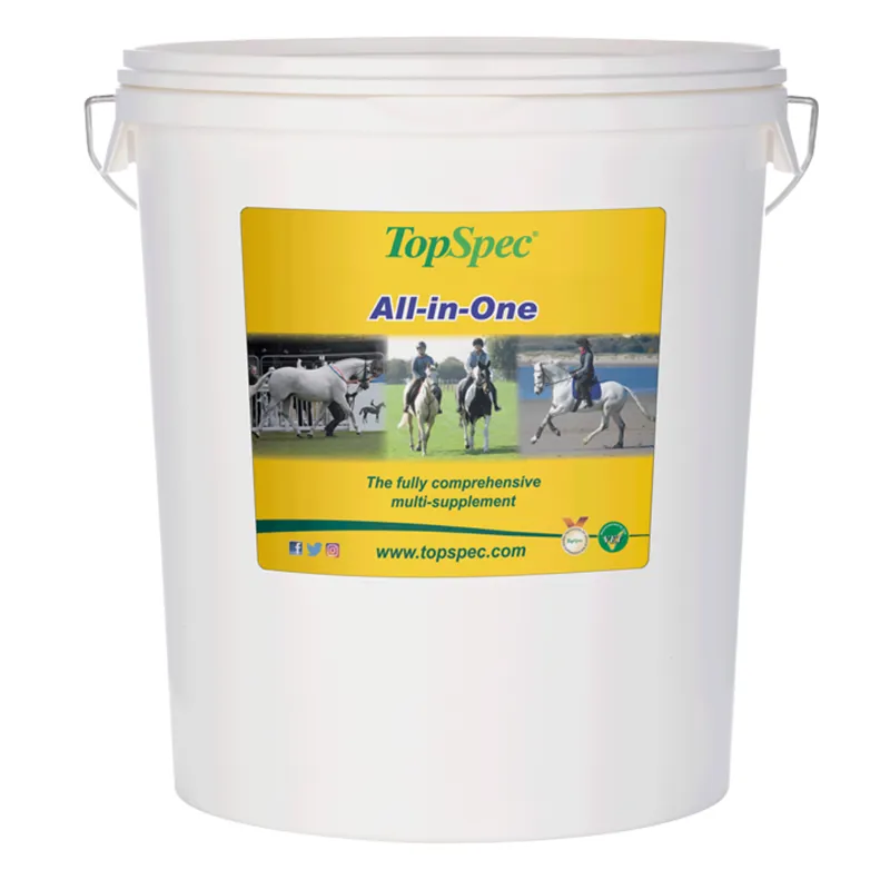 TopSpec All-in-One-2