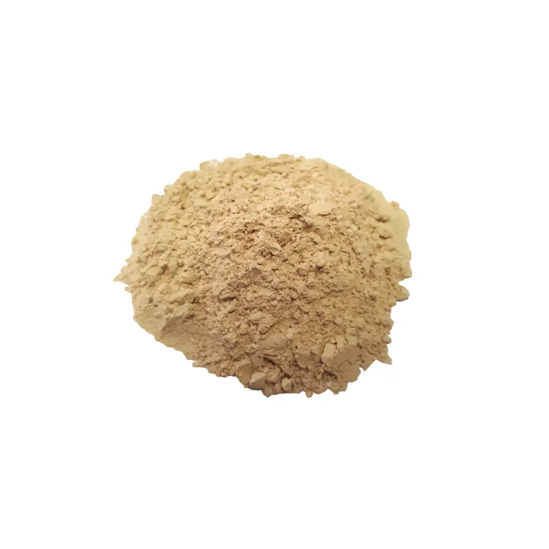 Speedgate Garlic Powder Refill 1kg