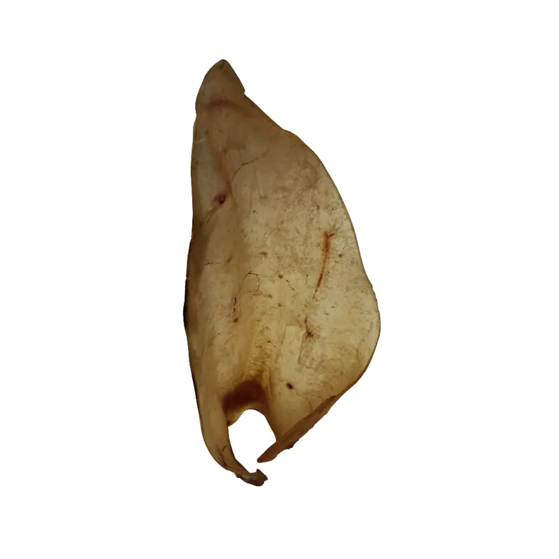 Hollings Cow Ear Single