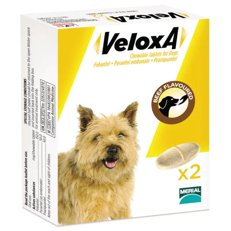 Veloxa Chewable Tablets For Dogs 2 pack